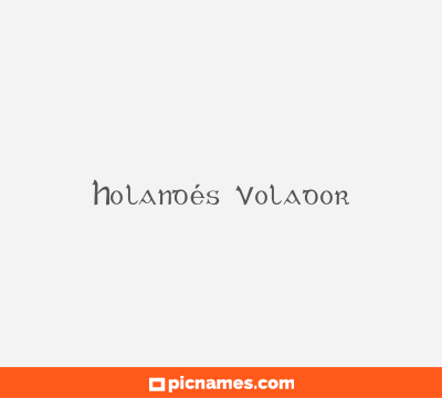 Holandés Volador